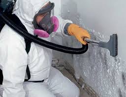 Why You Should Choose Our Mold Remediation Services in Dayton, NV